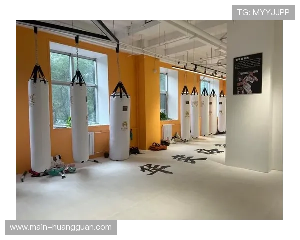 健身房综合格斗课程受欢迎，爱好者通过训练提升体能与自卫能力